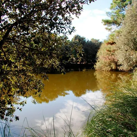 Daire Serena 2-8 Lido di Pomposa