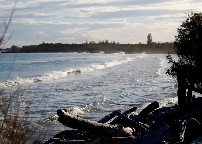 Serena 2-8 * 리도 디 폼포사