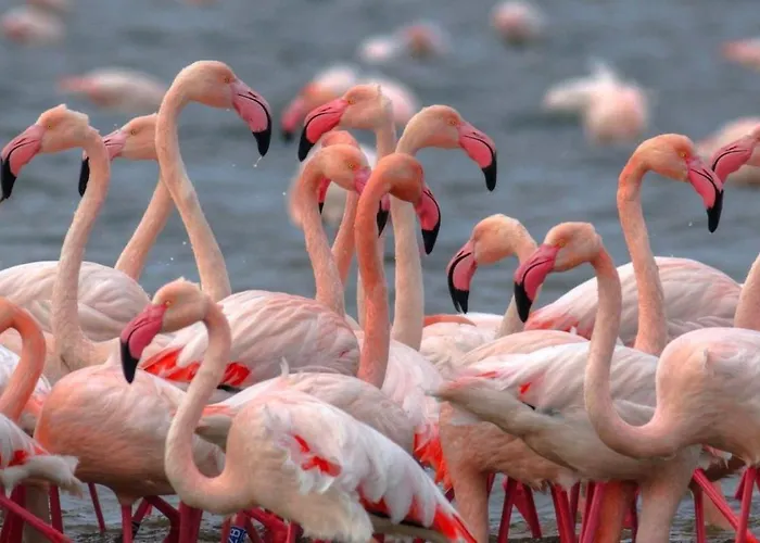 아파트 Serena 2-8